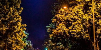 Vijol’čne misli, 7.5.2016 Vijol'čne misli, 7.5.2016