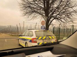 Začasni odvzem vozniškega dovoljenja, Kokain in Metaboliti Začasni odvzem vozniškega dovoljenja, Kokain in Metaboliti (1 of 1)-2