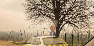 Začasni odvzem vozniškega dovoljenja, Kokain in Metaboliti Začasni odvzem vozniškega dovoljenja, Kokain in Metaboliti (1 of 1)-2