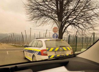 Začasni odvzem vozniškega dovoljenja, Kokain in Metaboliti Začasni odvzem vozniškega dovoljenja, Kokain in Metaboliti (1 of 1)-2