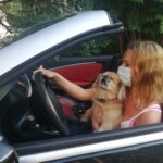 Uporaba zaščitnih mask v zaprtih javnih prostorih Uporaba zaščitnih mask v zaprtih javnih prostorih