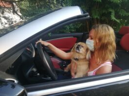 Uporaba zaščitnih mask v zaprtih javnih prostorih Uporaba zaščitnih mask v zaprtih javnih prostorih