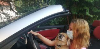 Uporaba zaščitnih mask v zaprtih javnih prostorih Uporaba zaščitnih mask v zaprtih javnih prostorih