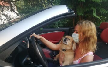 Uporaba zaščitnih mask v zaprtih javnih prostorih Uporaba zaščitnih mask v zaprtih javnih prostorih