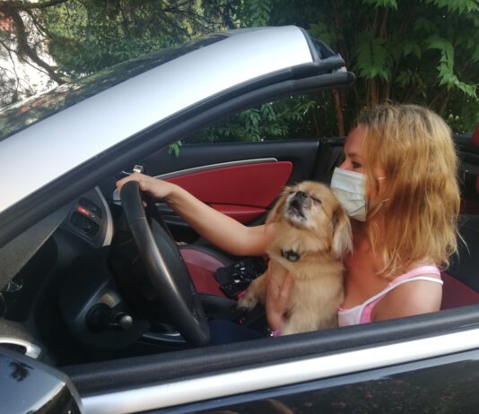 Uporaba zaščitnih mask v zaprtih javnih prostorih Uporaba zaščitnih mask v zaprtih javnih prostorih