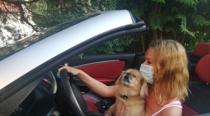 Uporaba zaščitnih mask v zaprtih javnih prostorih Uporaba zaščitnih mask v zaprtih javnih prostorih
